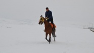 Atları yarışlara karda hazırlıyorlar