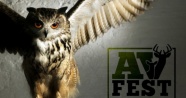 Avfest Dergisi, 15 Ocak'ta yayına başlıyor