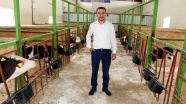 Avrupa'daki yüksek vergiden kaçtı, Türkiye'de sütçü oldu