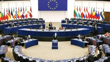 Avrupa Parlamentosu vekili Rusya karşıtı olduğu iddiasıyla grubundan ayrıldı