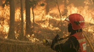 Avrupa ve ABD'de aşırı sıcaklar orman yangınlarına sebep oluyor