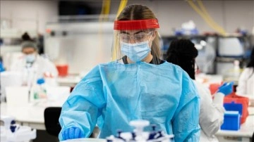 Avrupa'da maymun &ccedil;i&ccedil;eği vaka sayısı 17 bin 509