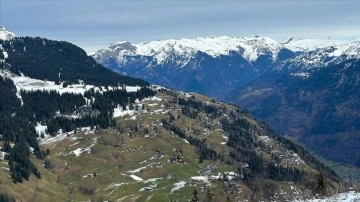 Avrupa'da sıcak geçen kış İsviçre'deki kayak merkezlerini olumsuz etkiledi