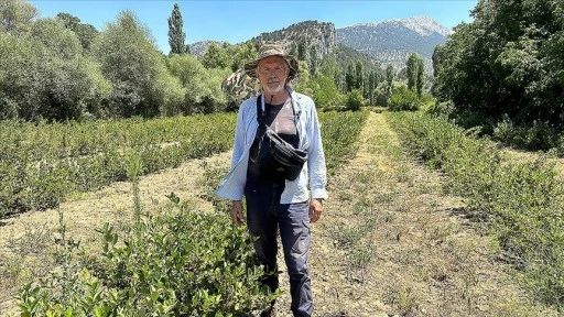 Avustralya'da çalışıp emekli olan gurbetçi, Isparta'da aronya bahçesi kurdu