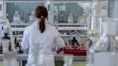 Avustralya'da memeli hayvanda ilk kuş gribi vakası doğrulandı