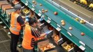 Avustralya&#039;daki mevsimlik işçiler geçimini domates tarlalarından sağlıyor