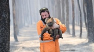Avustralya'daki yangınlardan yaklaşık 3 milyar hayvan etkilendi