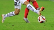 Avusturya 1. Futbol Ligi 2 Haziran'da yeniden başlayacak