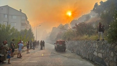 Aydın'da zeytinlik ve makilik alanda &ccedil;ıkan yangın kontrol altına alındı