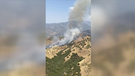 Aydın'da ziraat alanında çıkan yangına müdahale ediliyor
