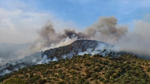 Aydın'da ziraat alanında çıkarak ormanlık alana sıçrayan yangın kontrol altına alındı