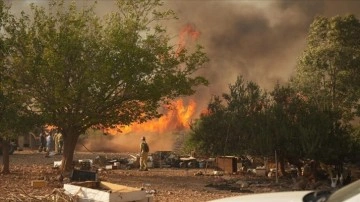 Aydın Didim'de makilik alanda çıkan yangınla ilgili 3 kişi tutuklandı