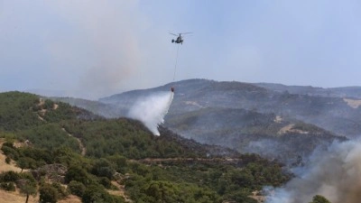 Aydın'ın &Ccedil;ine il&ccedil;esindeki orman yangınına ilişkin 2 ş&uuml;pheli g&ouml;zaltına alındı