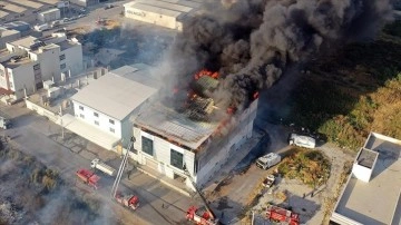 Aydın'da otluk alanda başlayan ve bir fabrikaya sıçrayan yangına müdahale ediliyor