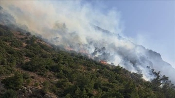 Aydın'ın Söke ilçesinde orman ve makilik alanda yangın çıktı