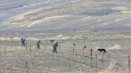 Azerbaycan&#039;ın işgalden kurtarılan kentlerinde 10 aydır karış karış mayın temizliği yapılıyor