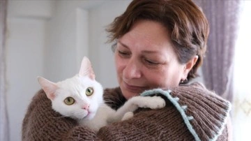 Azerbaycanlı hayvansever evinin kapısını sahipsiz kedilere açtı