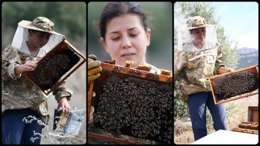 Baba mesleği arıcılığa başlayan kadın kovan sayısını 12'den 200'e çıkardı