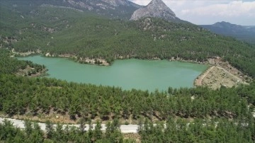 Bahar yağışları Antalya tarımına yazın "can suyu" olacak