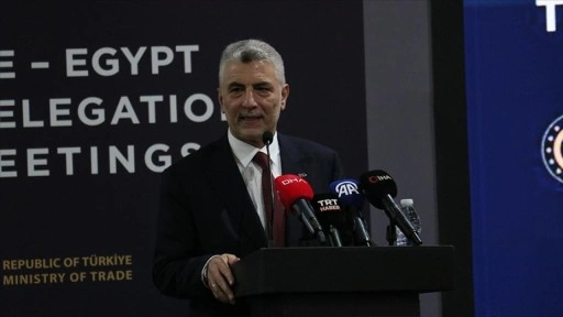 Bakan Bolat, Mısırlı ve Suudi Arabistanlı yetkililerle ikili görüşmeler gerçekleştirdi