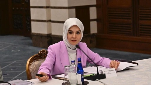 Bakan Göktaş'tan Nüfus Politikaları Kurulu Toplantısı'na ilişkin açıklama