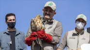 Bakan Pakdemirli: 2012'den bu yana 30 bin yaban hayvanı rehabilite edilerek doğaya bırakıldı