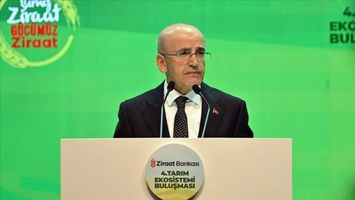 Bakan Şimşek: Son bir yıldır kesintisiz devam eden dezenflasyon süreci söz konusu
