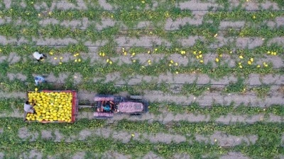 Bakan Yumaklı, 688 milyon 200 bin lira tarımsal destekleme &ouml;demesinin bug&uuml;n yapılacağını bildirdi