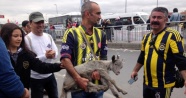 Bakırköy'de kalabalığın arasına karışan keçi yavrusu ilgi odağı oldu