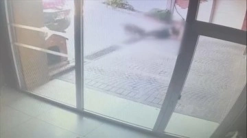 Bakırköy'deki pitbull saldırısının görüntüsü ortaya çıktı