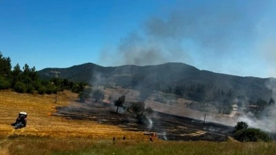 Balıkesir'in 3 il&ccedil;esi ile İzmir'de &ccedil;ıkan yangınlara m&uuml;dahale ediliyor