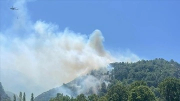 Balıkesir İvrindi'de orman yangını çıktı