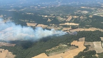 Balıkesir'de çıkan orman yangını kontrol altına alındı