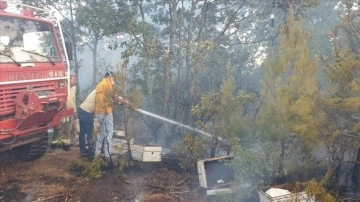 Balıkesir'in İvrindi ilçesinde çıkan orman yangını kontrol altına alındı