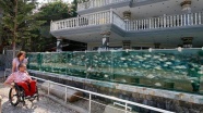 Çeşme&#039;deki Balıklı Köşk&#039;ün tek balığının maliyeti 20 bin lira