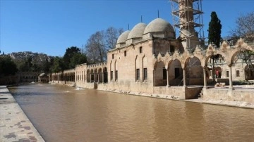 Balıklıgöl'de selin ardından balıklar kendilerini göstermeye başladı