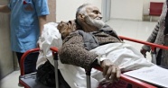 Bartın'da yaşlı adam, iki ayının saldırısına uğradı