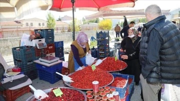 Başkentin dağlarında yetişen yaban meyveleri pazarcıların geçim kaynağı oldu