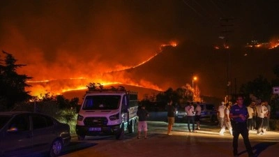Başkentte ağa&ccedil;lık alanda &ccedil;ıkan yangın kontrol altına alındı