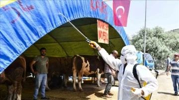 Başkentte Kurban Bayramı hazırlıkları sürüyor