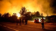 Batı Balkanlar'da orman yangınları