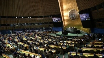 Batı Trakya Türklerinin sorunları, BM oturumunda konuşuldu