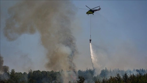 Bazı illerde çıkan orman yangınlarına müdahale sürüyor