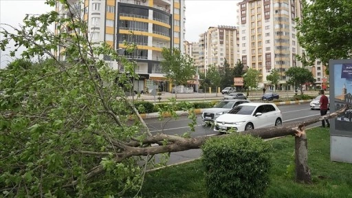 Bazı illerde fırtına yaşamı olumsuz etkiledi