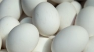 Belçika'da da 'böcek ilaçlı yumurta' çıktı