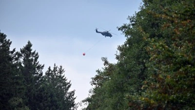 Bel&ccedil;ika'da kayıtlara ge&ccedil;en en b&uuml;y&uuml;k orman yangını 5. g&uuml;n&uuml;nde s&uuml;r&uuml;yor