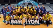 Beşiktaş'ı yenen Fenerbahçe şampiyon| Beşiktaş Sompo Japan: 94 - Fenerbahçe: 98