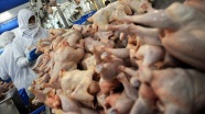 Beyaz et sektörü Çin pazarının açılmasını bekliyor