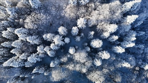 Beyaz &ouml;rt&uuml;yle kaplanan &Ccedil;am Dağı havadan g&ouml;r&uuml;nt&uuml;lendi