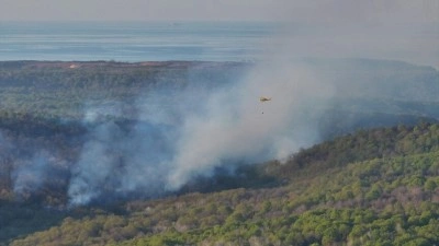 Beykoz'da ormanlık alanda &ccedil;ıkan yangına m&uuml;dahale s&uuml;r&uuml;yor